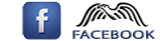 Facbook-logo-3b45kj0lrk0df20umt55hc.png